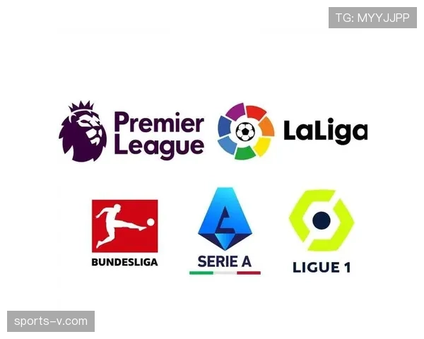 全球海外转播权市场普遍萎缩,除英超西甲外主流联赛增长乏力 全球海外转播权市场普遍萎缩,除英超西甲外主流联赛增长乏力