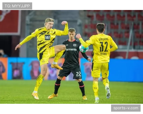 多特蒙德vs勒沃库森比赛中，球迷看台巨型TIFO致敬俱乐部历史